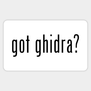 Got Ghidra? Magnet